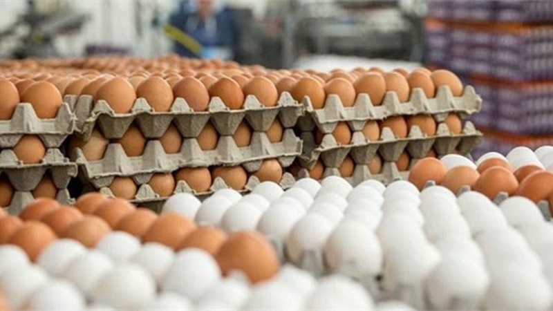  عواقب مصرف بیش از حد تخم‌مرغ