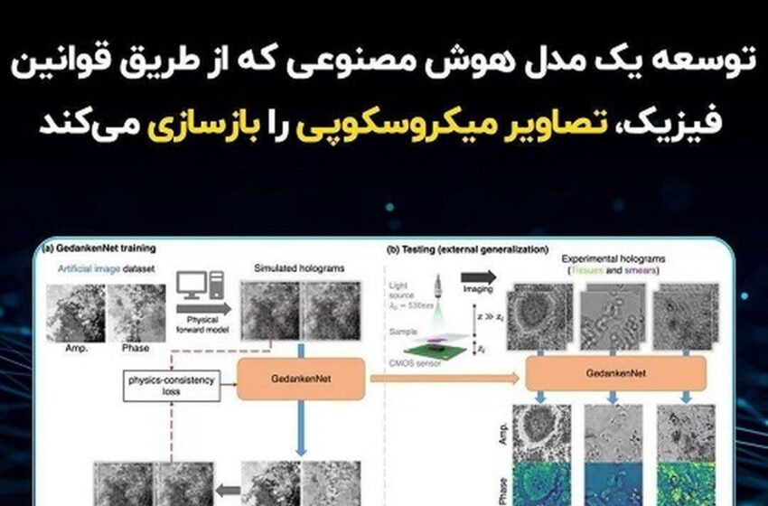  توسعه یک مدل هوش مصنوعی که از طریق قوانین فیزیک، تصاویر میکروسکوپی را بازسازی می‌کند