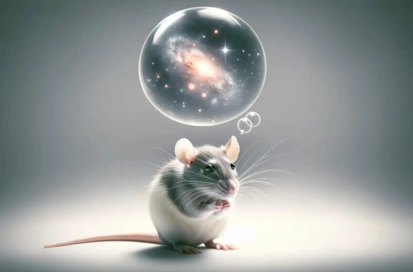  موش‌ها توانایی خیال‌پردازی دارند