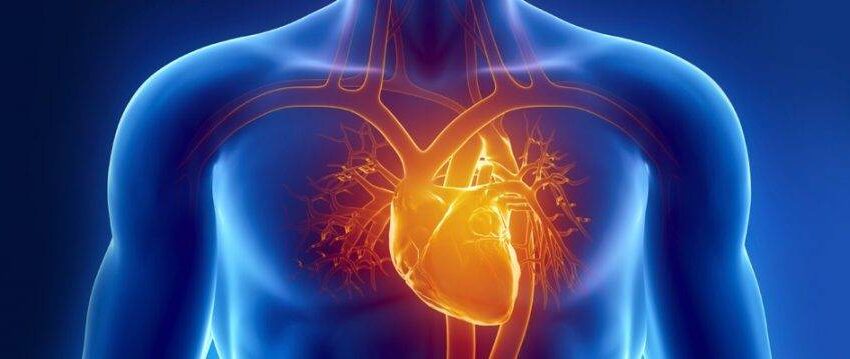 راهی برای پیشگیری از بیماری‌های قلبی عروقی