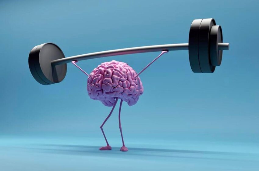 فعالیت ورزشی حجم مغز را بالا می‌برد؟