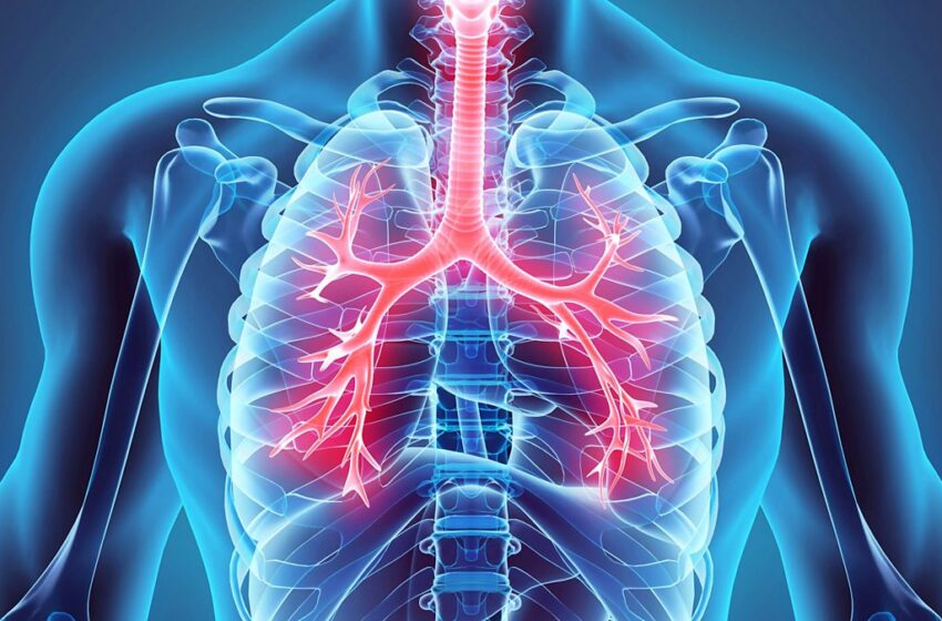 یکی از راه های اصلی در عدم انتقال بیماری های ویروسی دستگاه تنفسی چیست؟