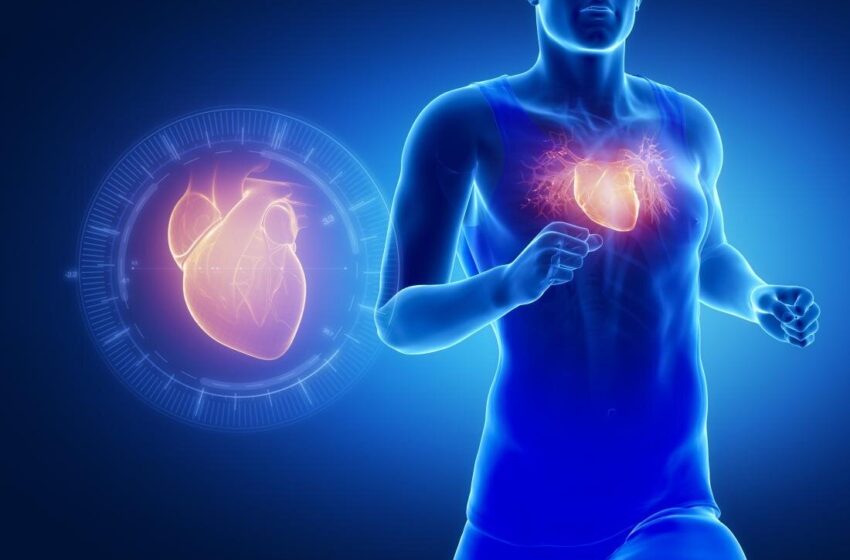 هر هفته 150 دقیقه با این شدت ورزش کنید قلب تان سالم می ماند