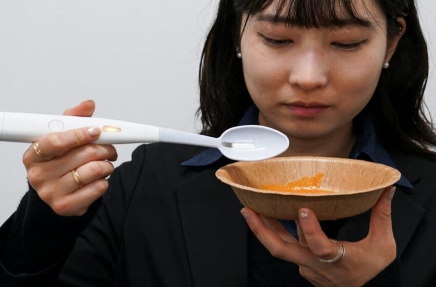 راهکار جالب ژاپنی‌ها برای کم کردن مصرف نمک