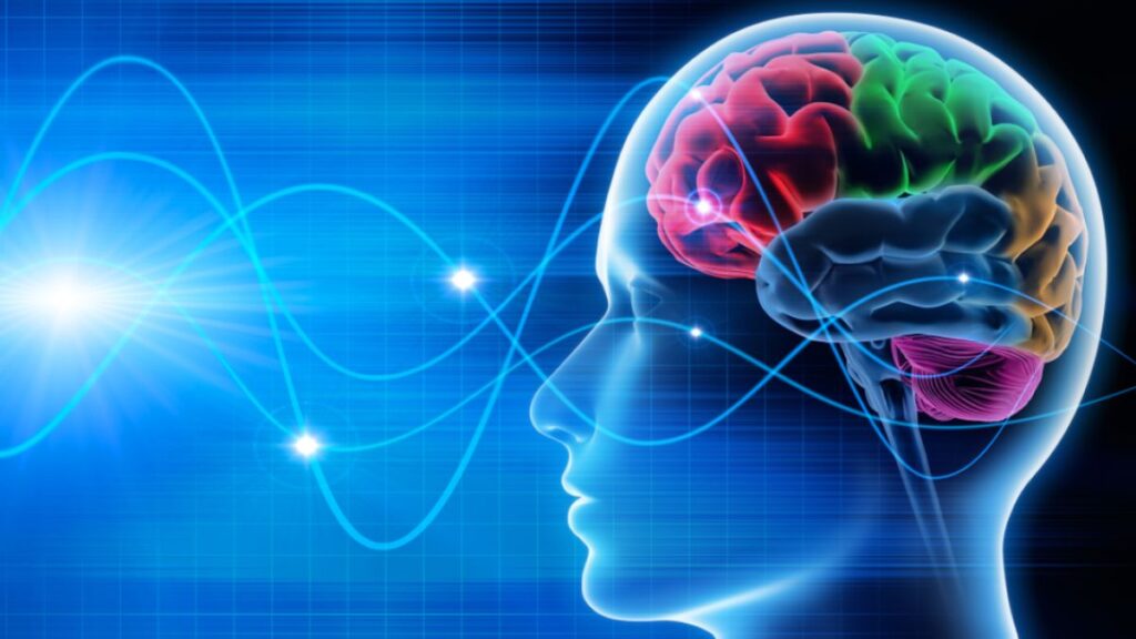 نوردرمانی ضربه مغزی شدید را درمان می کند؟
