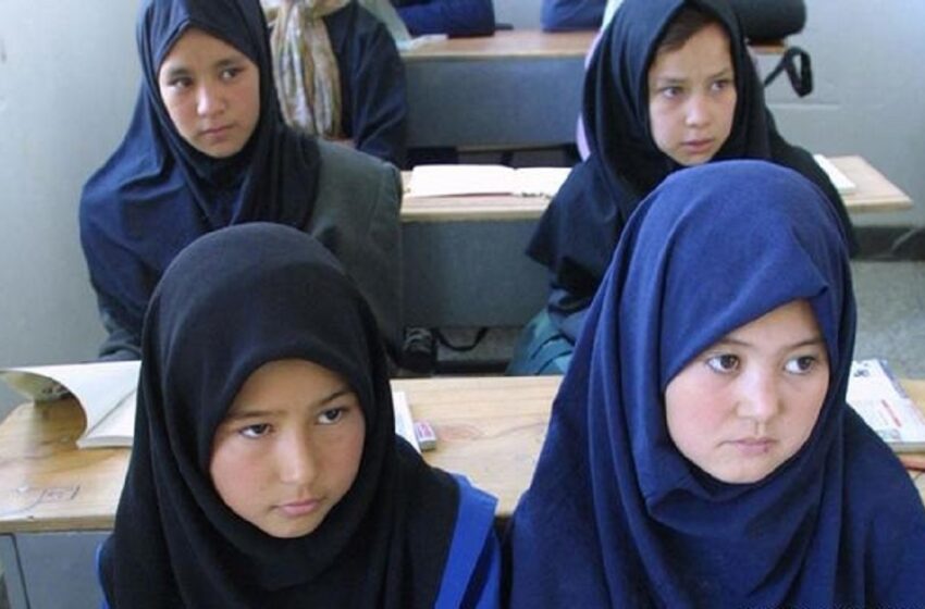 تحصیل ۷۰۰ هزار دانش آموز اتباع خارجی در ایران