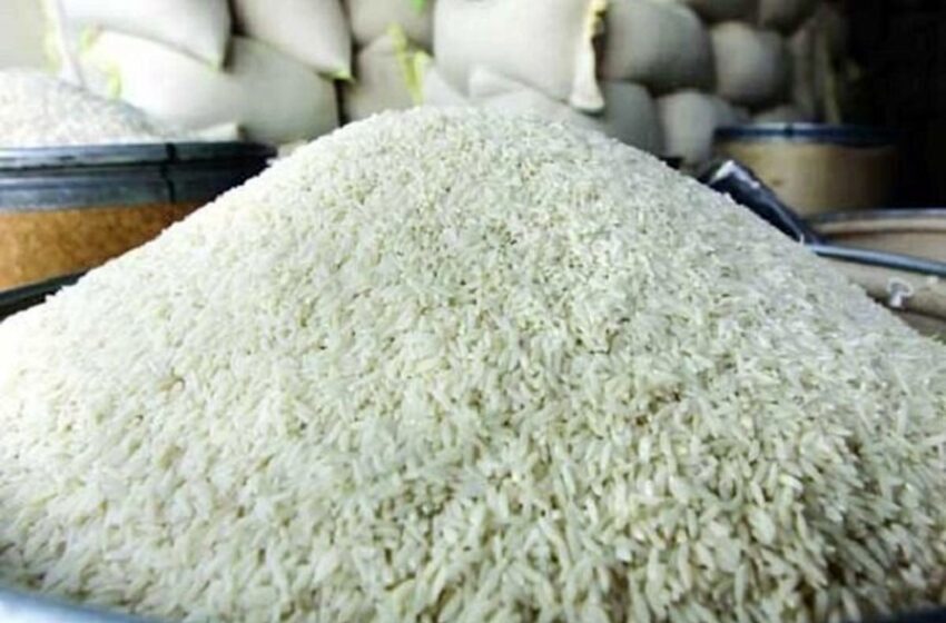  آخرین وضعیت صادرات برنج/ چرا برنج ایرانی به روسیه می رود؟