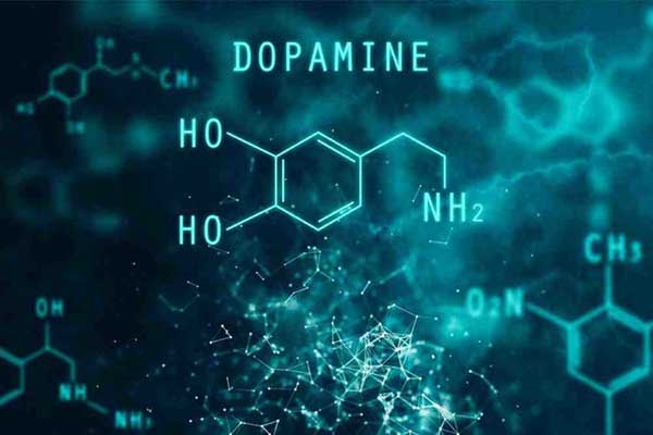  چه فعالیت هایی موجب افزایش سطح دوپامین در بدن می شوند؟