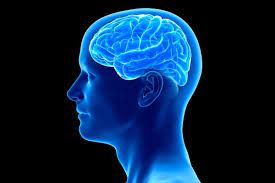  چند عفونت رایج که بر سلامت مغز تاثیر منفی دارند