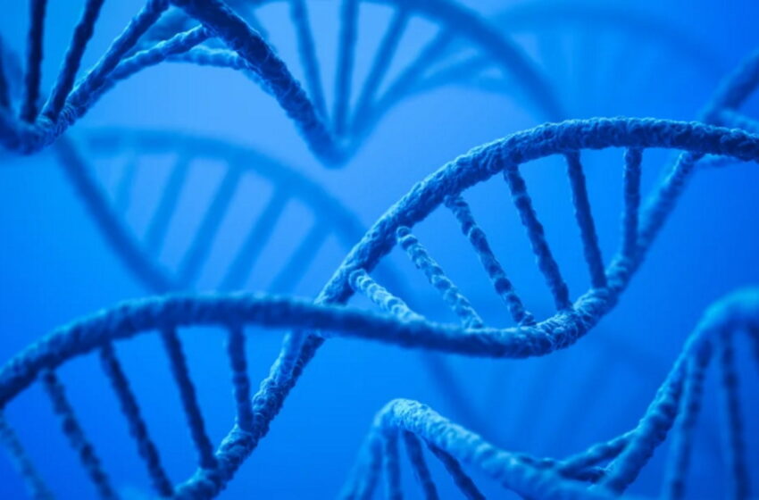  دیتاسنتر‌های حاوی DNA آغاز به کار می‌کنند