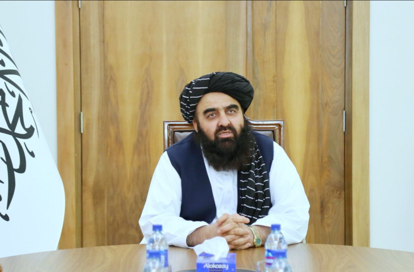  نمایندگان مجلس با وزیر خارجه طالبان دیدار کردند
