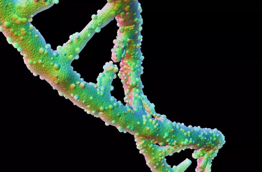  نوعی نانو توربین از جنس DNA ساخته شد