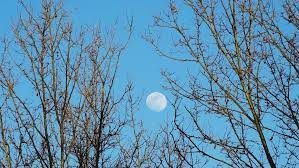  به چه علت ماه در طول روز در آسمان دیده می‌شود؟