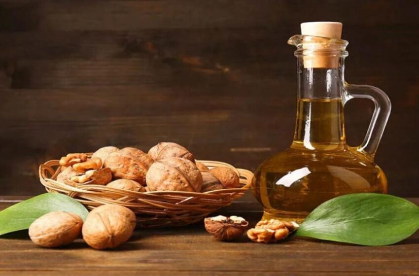 روغن گردو چه فوایدی برای بدن دارد؟