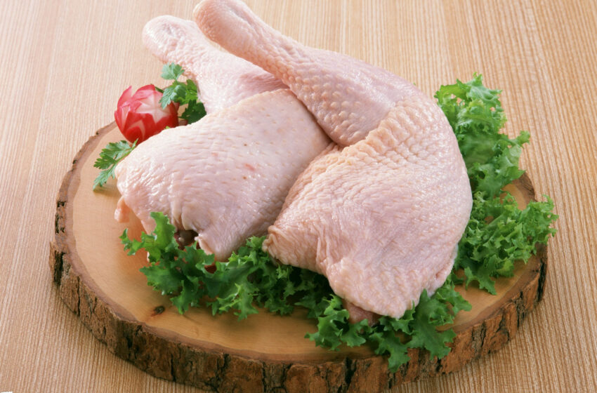  گوشت این پرنده منبع غنی از مواد مغذی و برای لاغری فوق العاده است