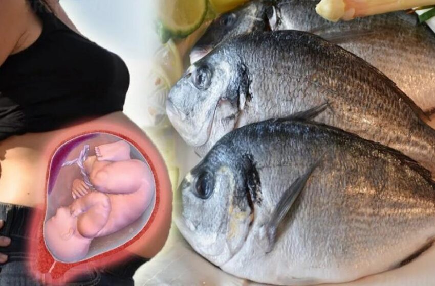 در دوران بارداری می توانیم ماهی استفاده کنیم؟